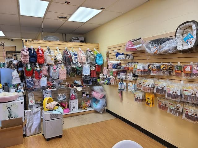 Puppy Village photo 2