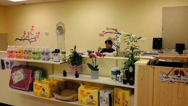 Puppy Village photo 3