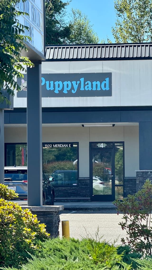 Puppyland Puyallup photo 1