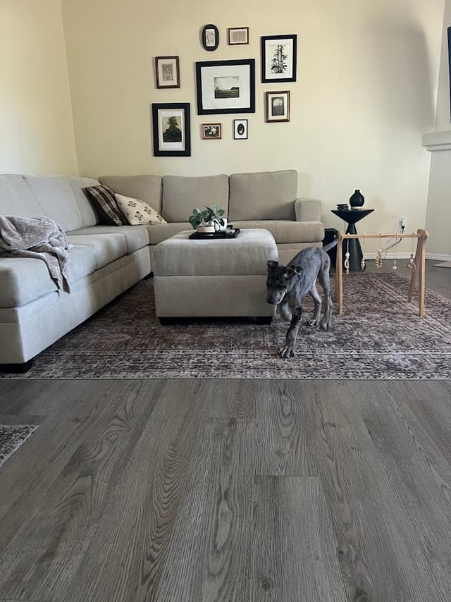 Puppyland Puyallup photo 2