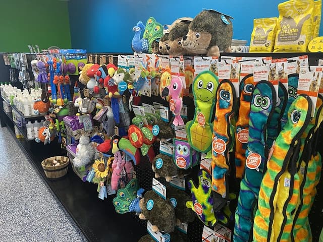 Paws Cascadia photo 3