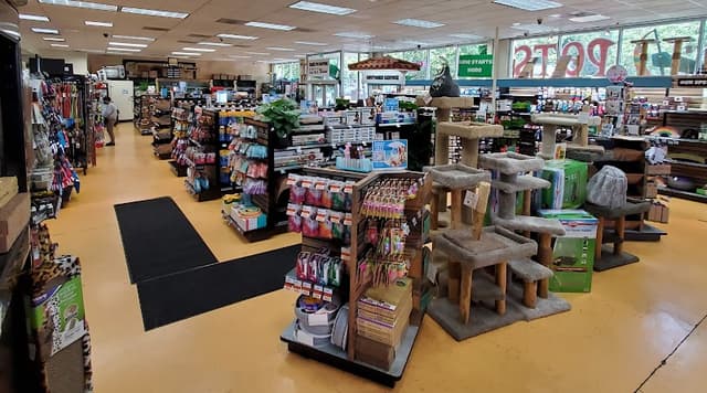 Pets on Broadway photo 2