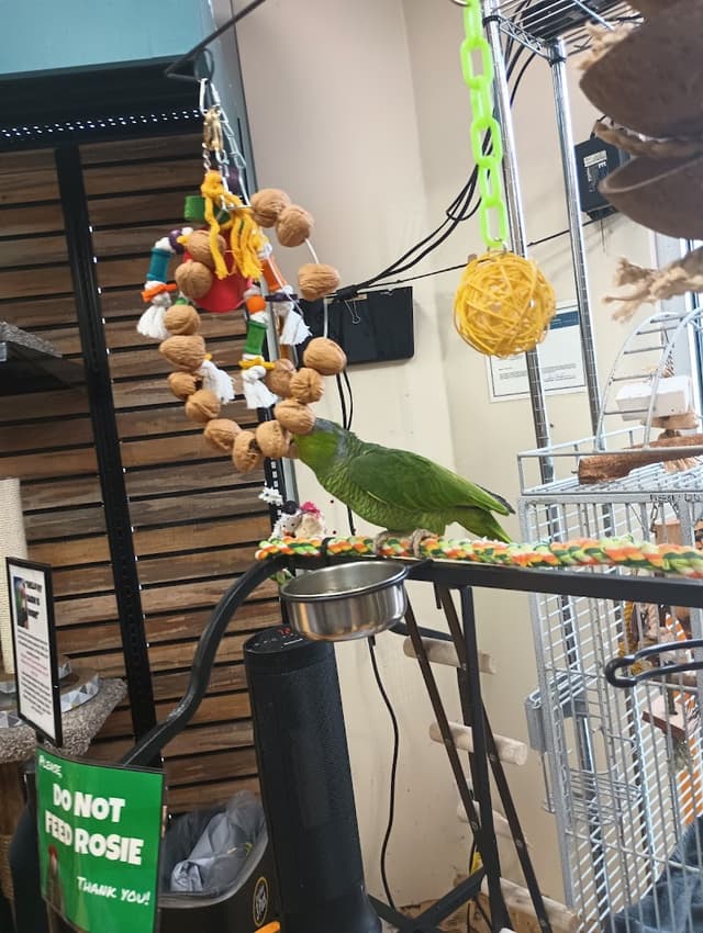 Pets on Broadway photo 3