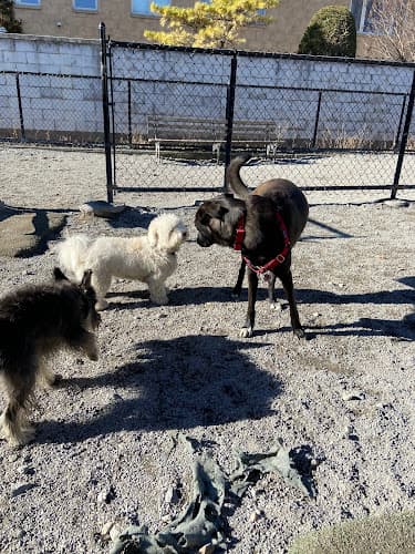 Washington Park Dog Run