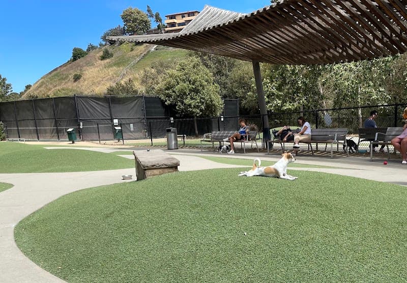 Bluff Creek Dog Park - Dog Park in Los Angeles, CA | Indoor Dog Park