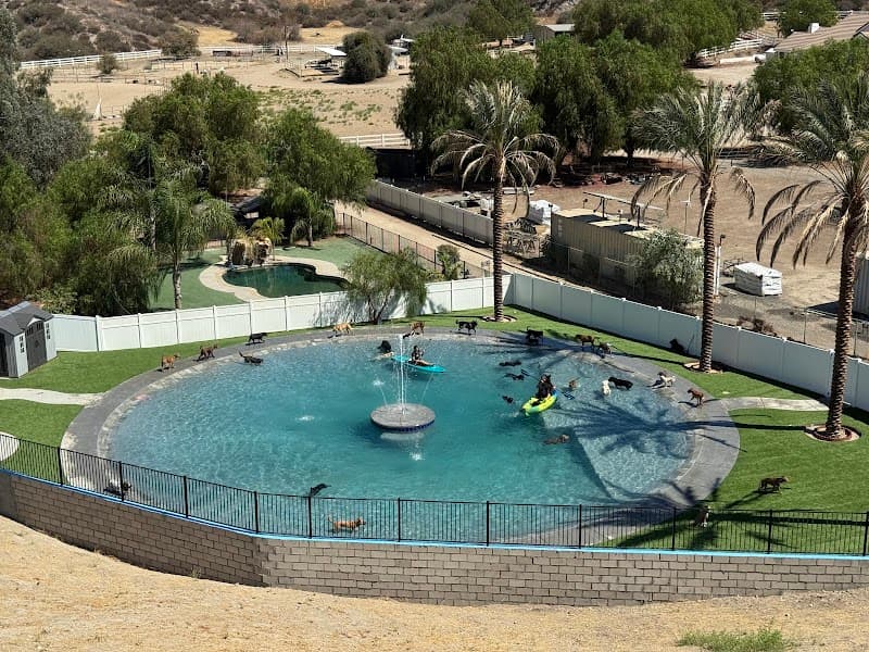 Country Dog Ranch boarding - Dog Park in Los Angeles, CA | Indoor Dog Park