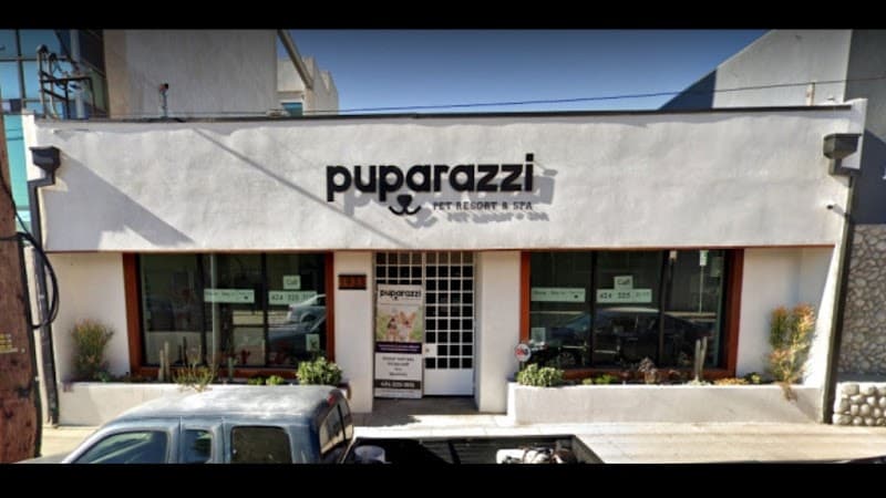 Puparazzi - Dog Park in Los Angeles, CA | Indoor Dog Park