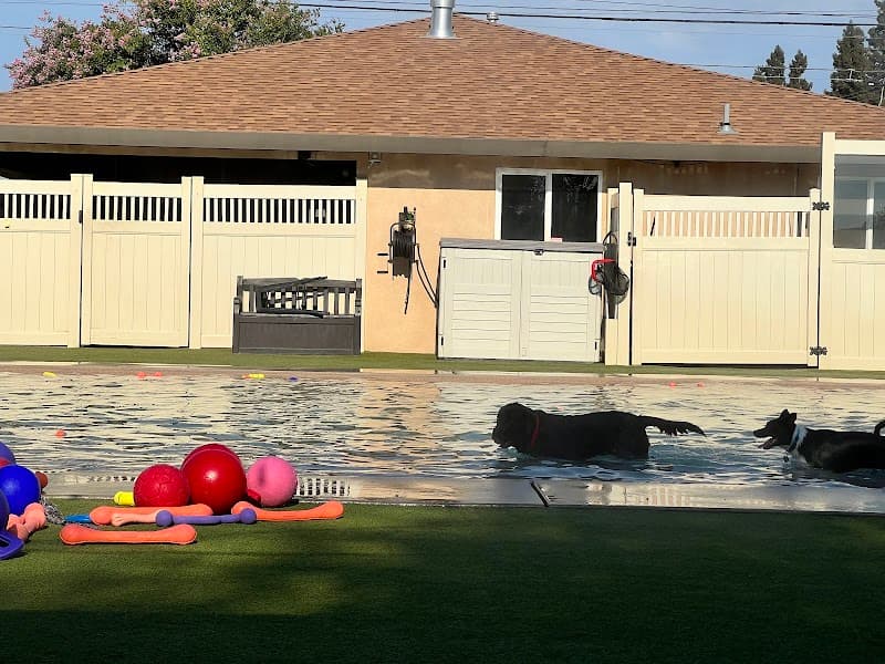 Animal Den - Dog Park in Sacramento, CA | Indoor Dog Park