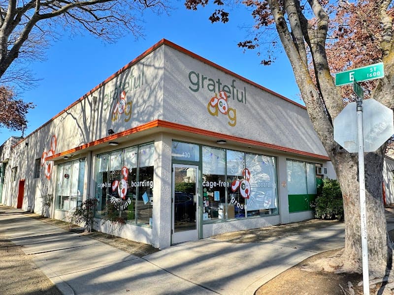 Grateful Dog Daycare - Dog Park in Sacramento, CA | Indoor Dog Park