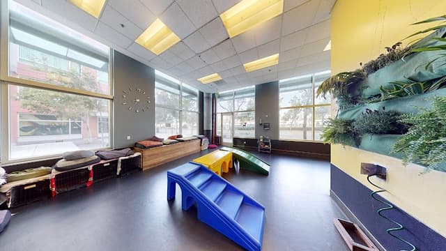 Bark Avenue Doggy Day Care