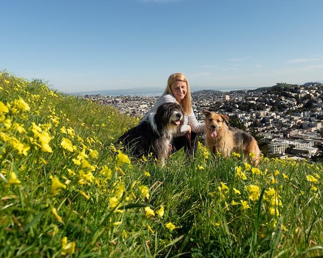 Good Dog Happy Dog LLC photo 1