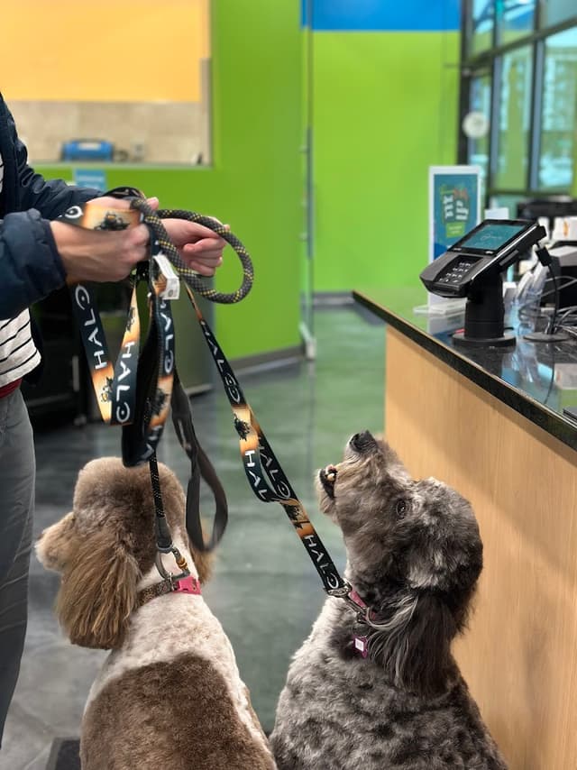 Pet Evolution - Mill Creek, WA - Grooming | Self-Wash | Healthy Food | Mobile Nail Trim photo 2