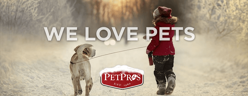 Pet Pros - Indoor Dog Park in Kent, WA | Indoor Dog Park