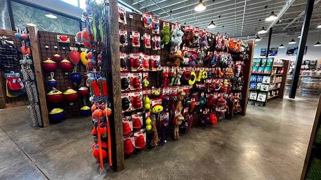 Neighborhood Pet Boutique photo 2