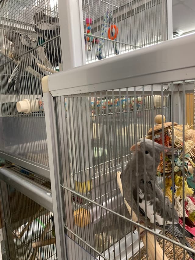 Ellensburg Pet Center photo 3