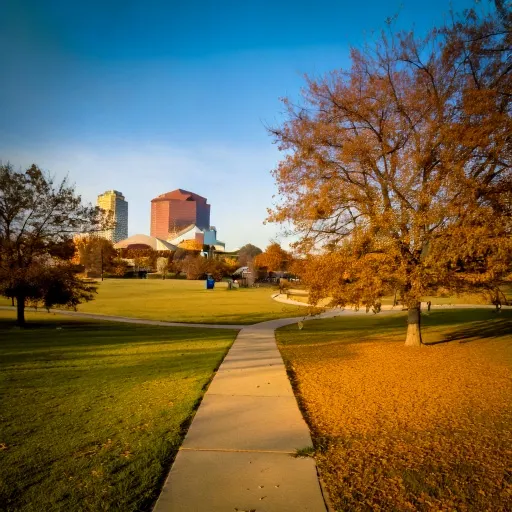 Allen dog park landscape