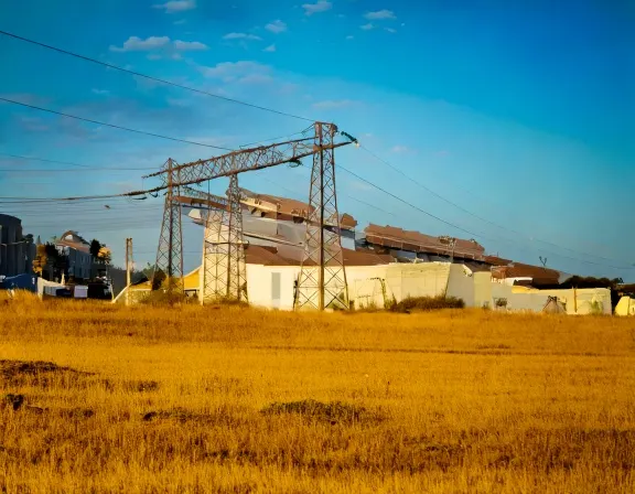 Balch Springs dog park landscape