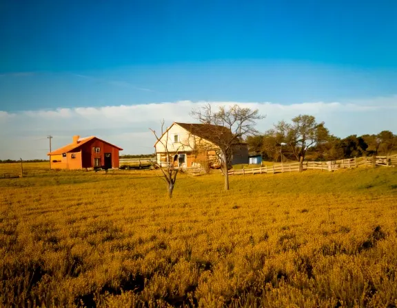 Bulverde dog park landscape