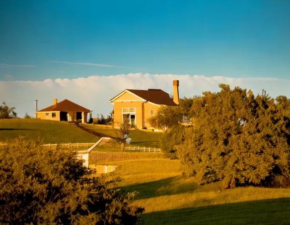 Pearland dog park landscape