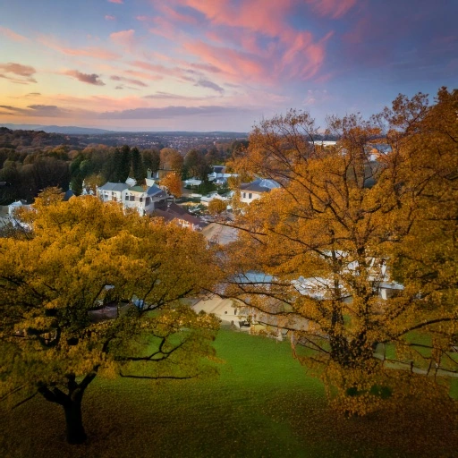 Petersburg dog park landscape