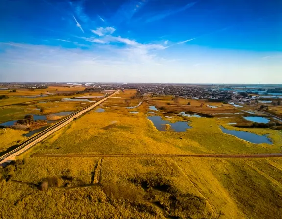 Pharr dog park landscape