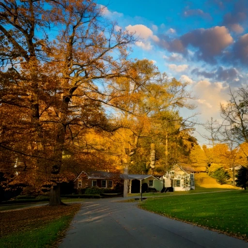 Purcellville dog park landscape