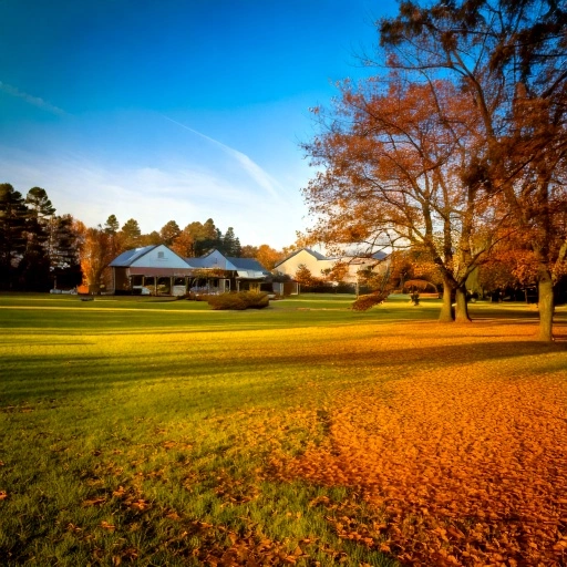 Ruckersville dog park landscape