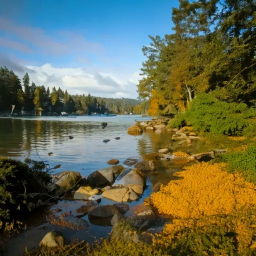 Sammamish dog park landscape
