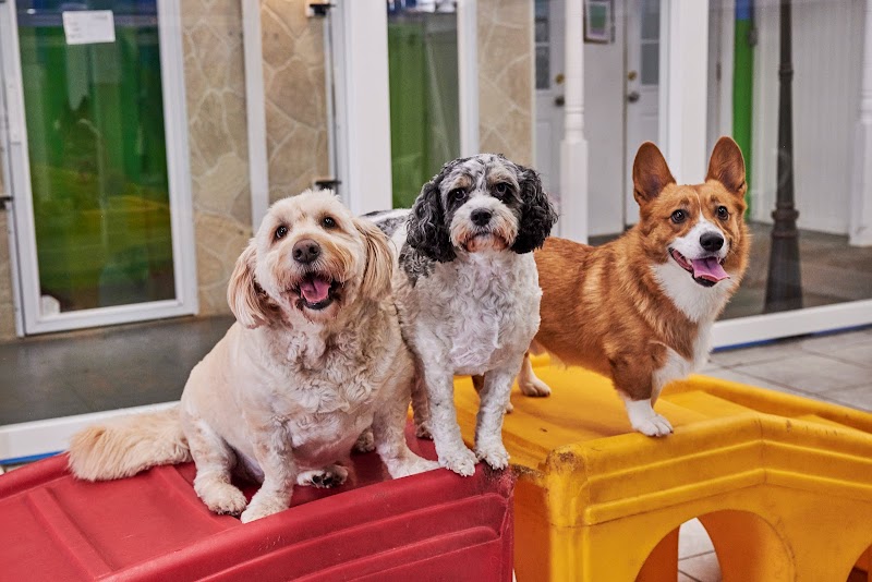 Hounds Town - Atlanta - Roswell photo 5