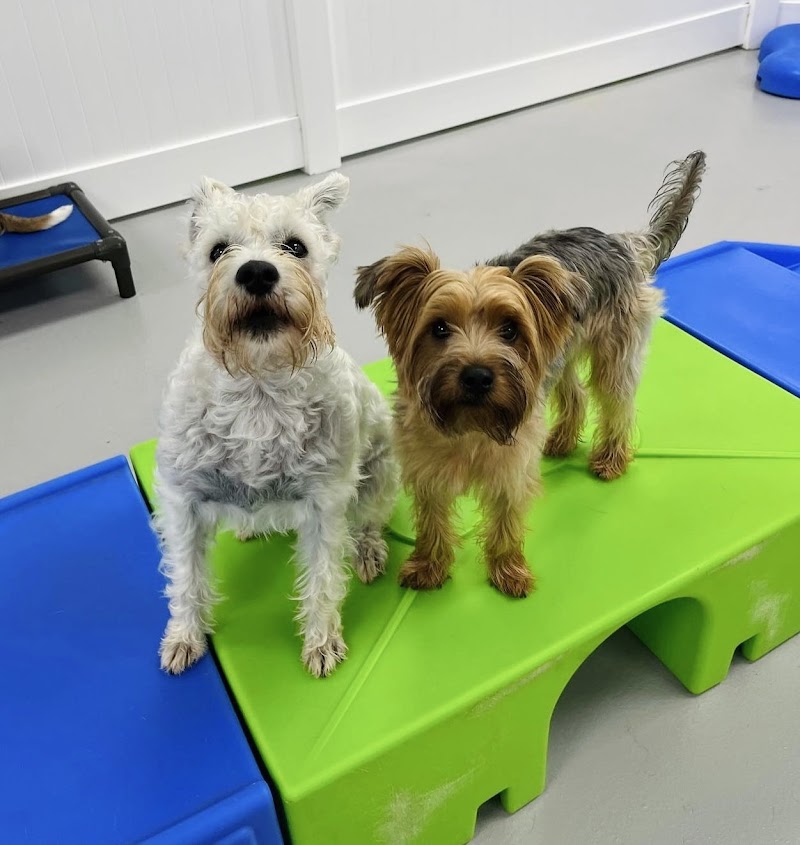 Alpharetta, GA - Dog Parks Directory