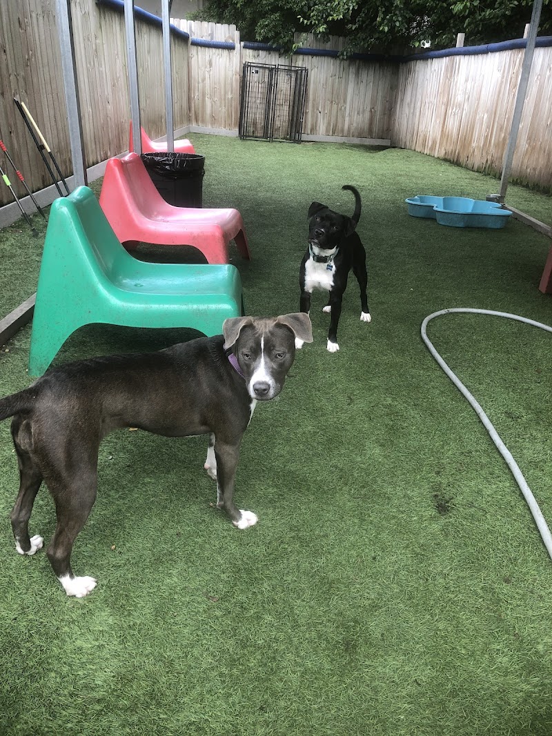 Barking Hound Village Cheshire photo 1