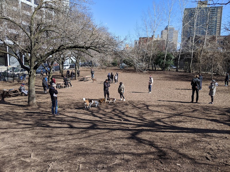 Blue Heron Nature Preserve photo 2