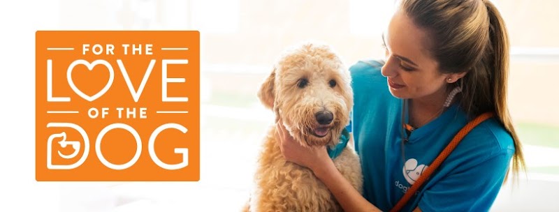 Dogtopia of Sandy Springs photo 3