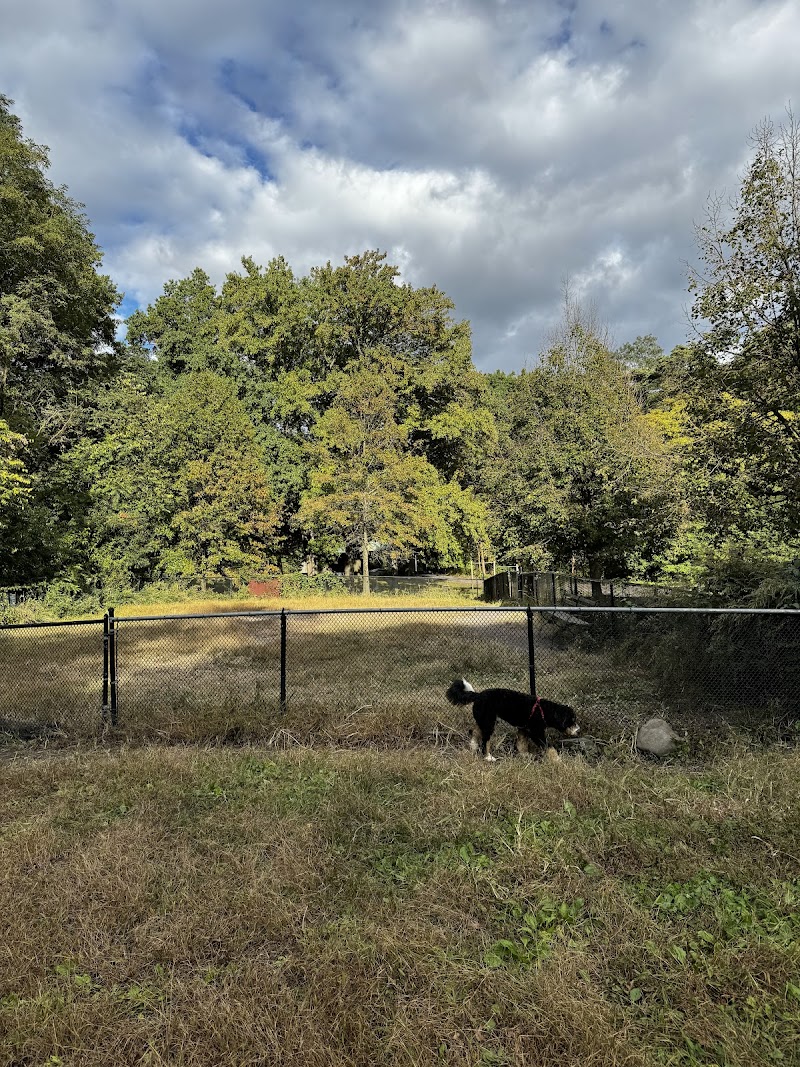 Canine Court photo 3