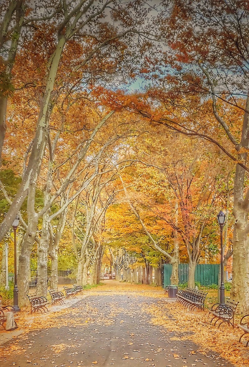 St. Mary's Dog Run photo 2