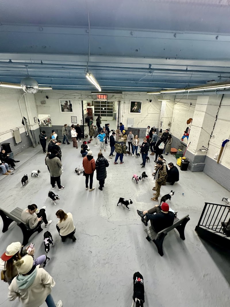 Acme Dog Run photo 4