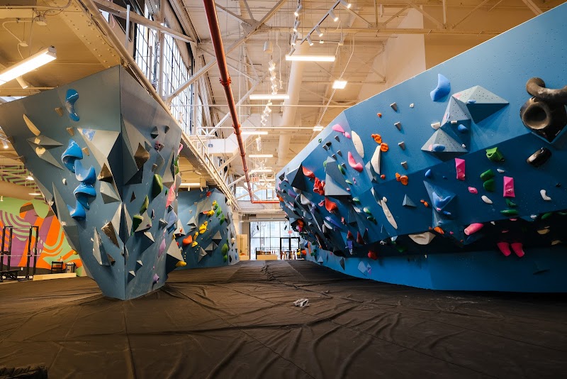 Bouldering Project - Gowanus - Dog-Friendly Establishment in Brooklyn, NY