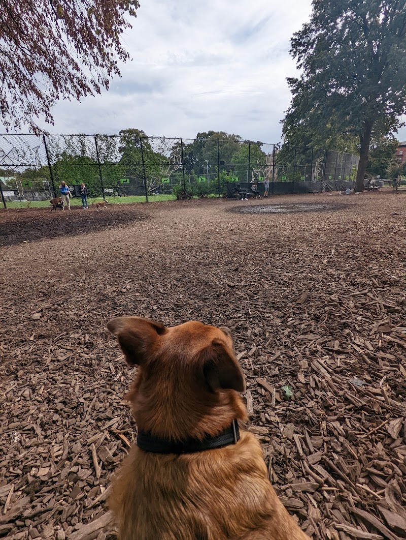 Herbert Von King Park Dog Run photo 4