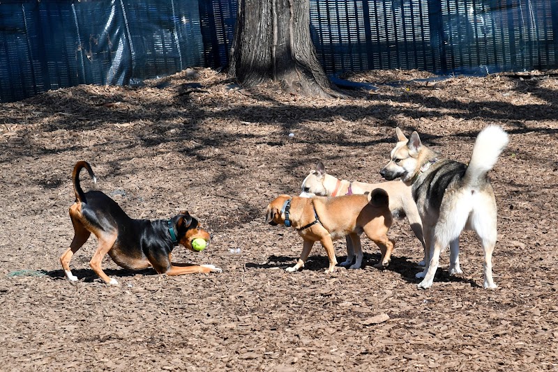 Herbert Von King Park Dog Run - Dog Park in Brooklyn, NY | Indoor Dog Park