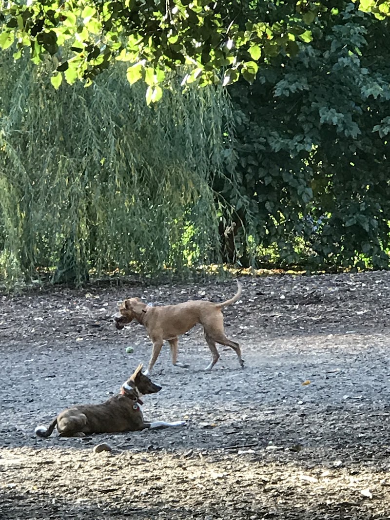 Hillside Dog Park photo 5