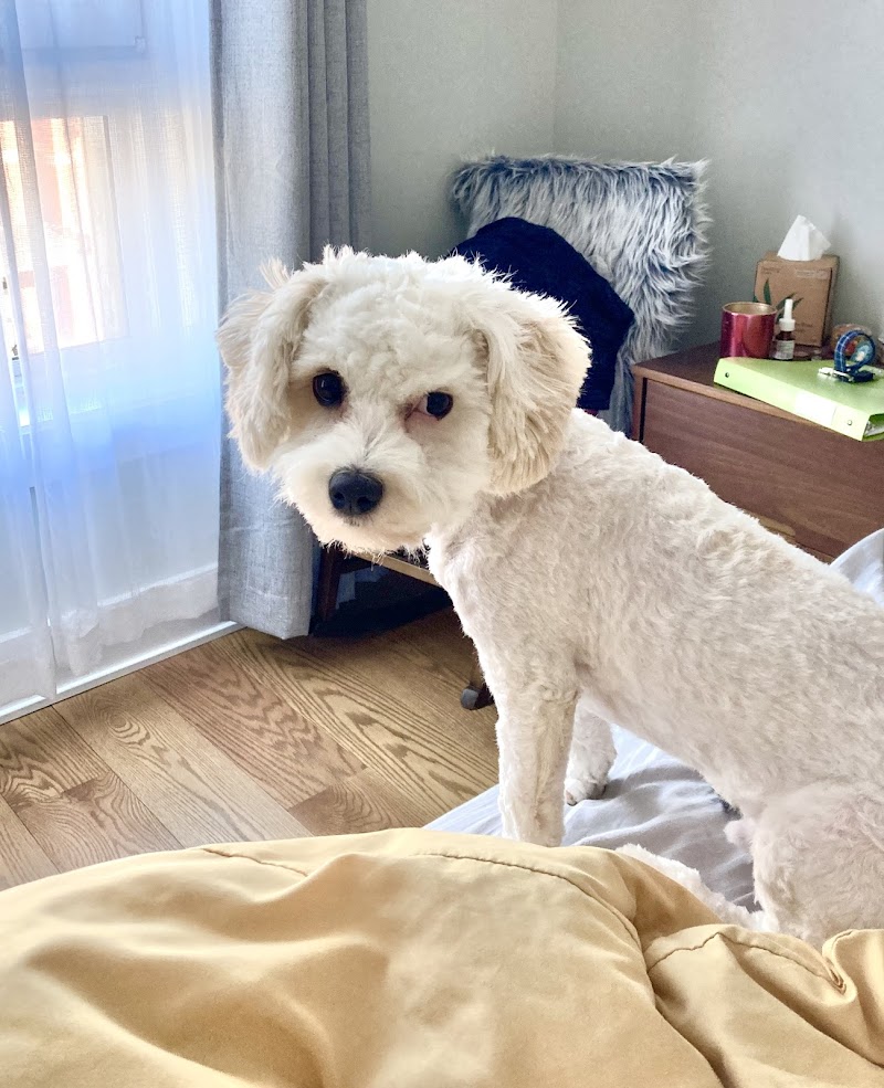 Opie's Outpost photo 2