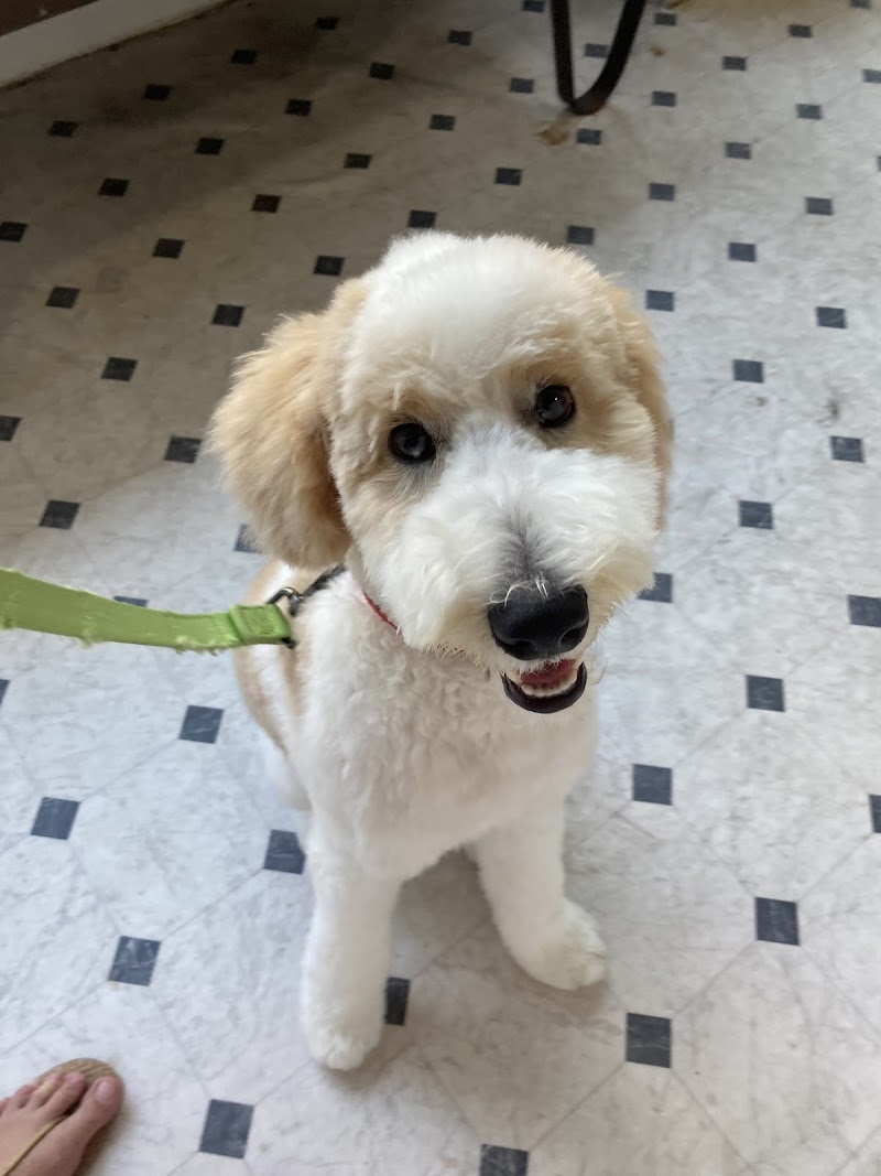 Opie's Outpost photo 3