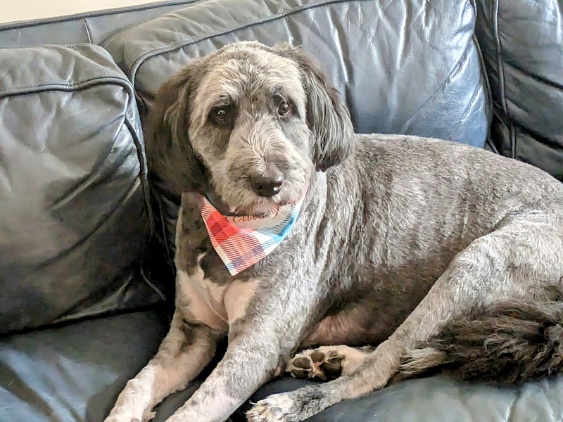 Opie's Outpost photo 4