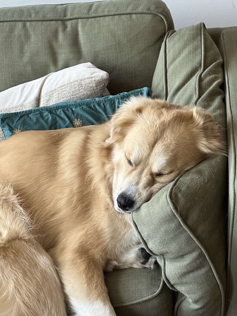 Opie's Outpost photo 5