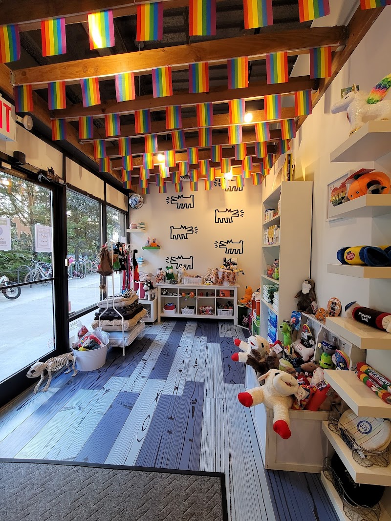 Wag Club - Dog Park in Brooklyn, NY | Indoor Dog Park