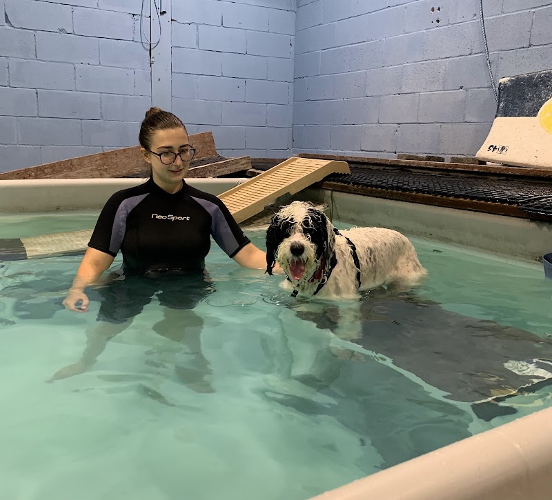 The Martial ARFS Dog Training & Fitness Center photo 2