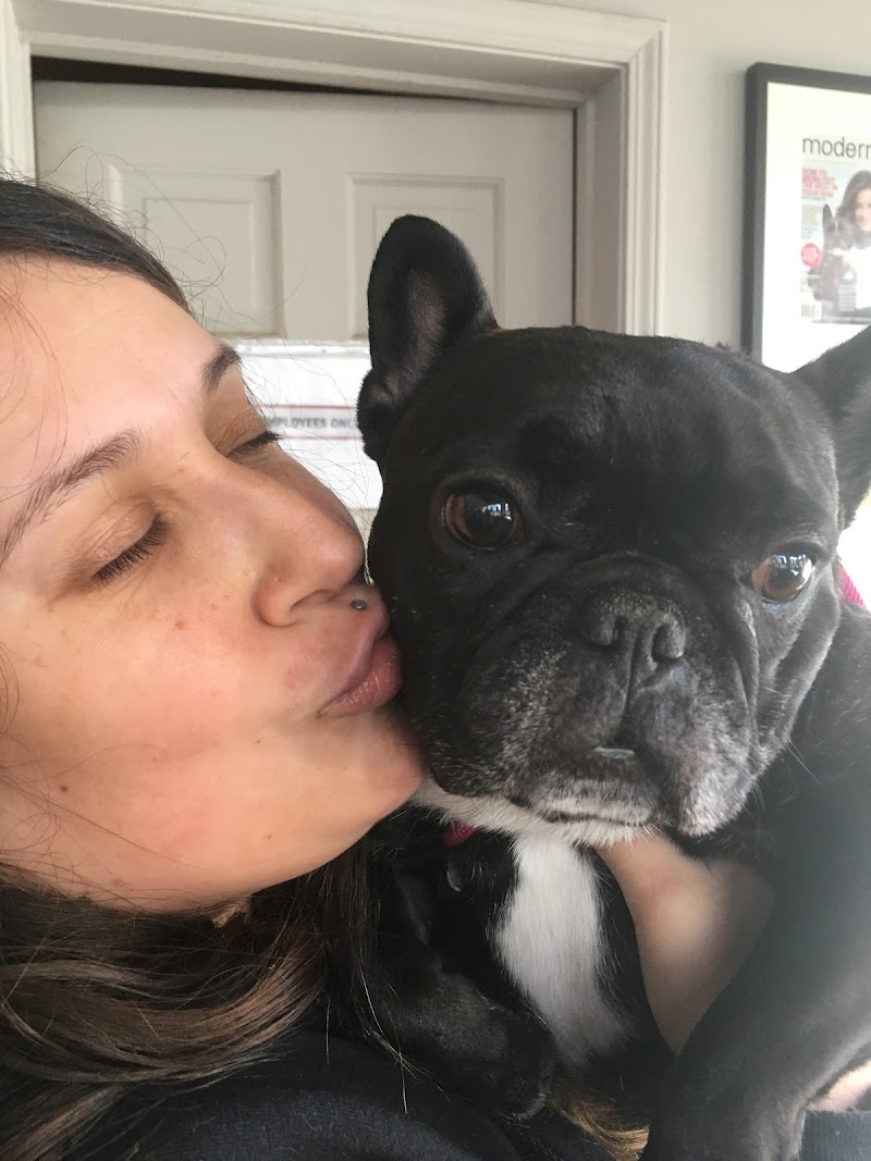 Frogs to Dogs, Training & Pet Care photo 2