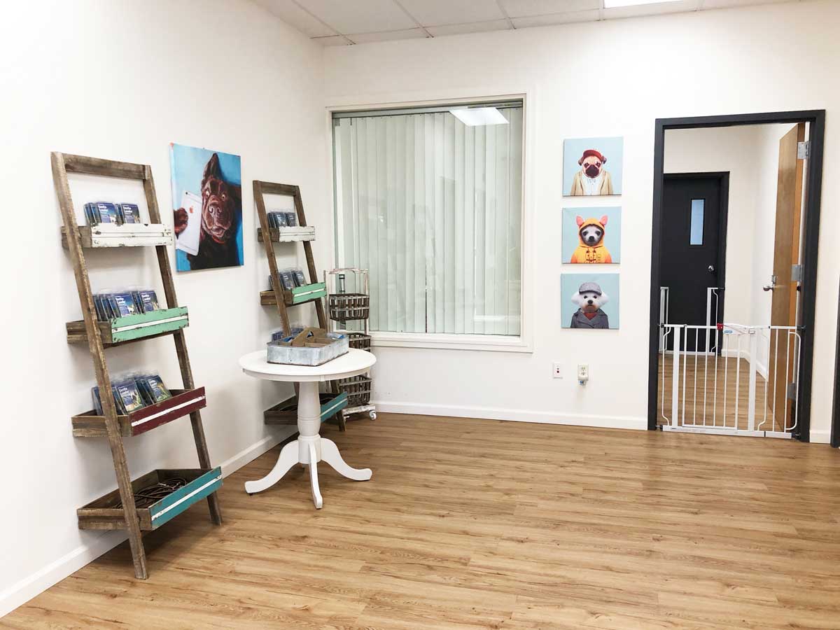 Instinct Dog Behavior & Training, New Jersey and Philadelphia photo 2