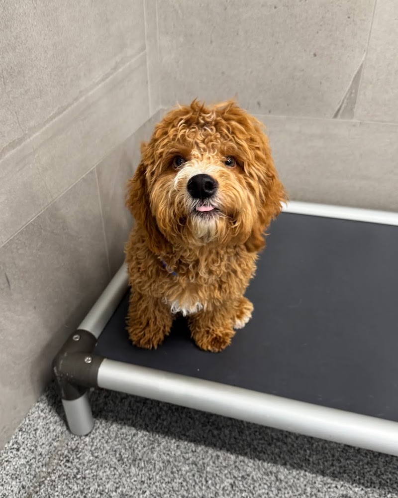 Fairfield, NJ - Dog Parks Directory