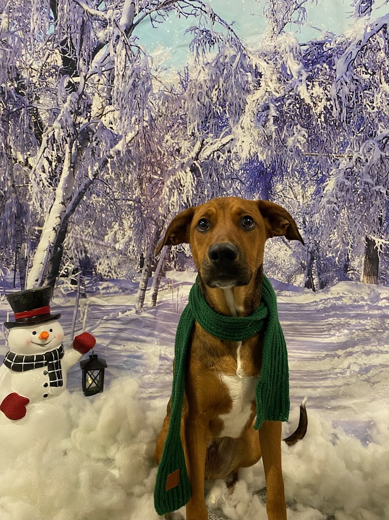 Fanwood, NJ - Dog Parks Directory